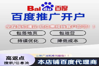 某电商平台的SEM推广策略分析
